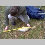 C.Lhota 3.4.2008 -42.JPG